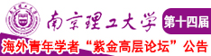 91嫩艹在线南京理工大学第十四届海外青年学者紫金论坛诚邀海内外英才！